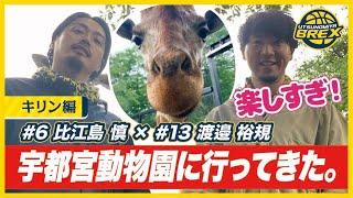 【宇都宮ブレックス】プロバスケ選手が動物園で飼育員体験！～楽しすぎ！キリン編～