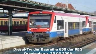 650 - Diesel-Tw der BR 650 der PEG als RB 12 am 25.03.2009 in Oranienburg