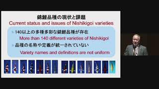 【World Nishikigoi Summit⑥】The variety criteria for Nishikigoi and Nishikigoi Certificate