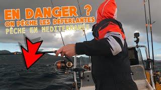 PÊCHE EN MÉDITERRANÉE DANS LES DÉFERLANTES   DENTI,  THONIDÉ & SAR AUX LEURRES SOUPLES   VLOG#198