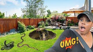 SNAKES IN MY BACKYARD || MOVING IN WITH SOMEONE HAS BEEN…