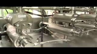 Palm Oil Product: The Making of Margarine