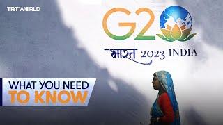 How does G20 work?