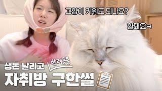 가계약금 날리고 반려동물 가능한 전셋집 구한 썰 (고양이와 집구하는 팁/주의사항)