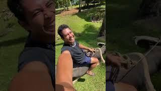 Kiabaw 400cc