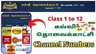 Kalvi TV Channel Numbers | Kalvi Tholaikatchi PVT Channel Numbers