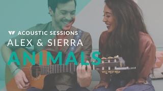 Alex & Sierra - Animals (Acoustic)