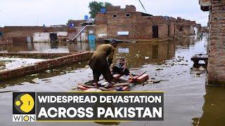 Heavy rain pounds much of Pakistan; 1000 dead, 45 million affected | International News | WION