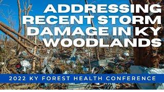 Addressing Recent Storm Damage in KY Woodlands