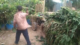 mô hình nuôi dê sinh sản - ù sáng nuôi dê