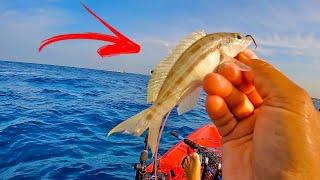 The SECRET  to Catching Bigger Fish (Simple Offshore kayak fishing tip)