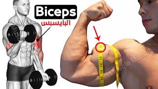 فجر عضلة البايسبس بهذه 5 تمارين الرائعة  How To Build Your Biceps