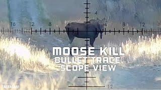 6.5 PRC 300 yard Moose Kill Shot With Bullet trace and TACTACAM Scope View