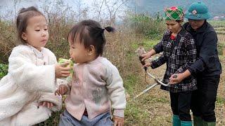 Single mother was helped by a kind officer who cleared the garden to grow corn / Soa single mom