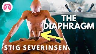 The Power of The Diaphragm | Stig Severinsen| TAKE A DEEP BREATH CLIPS #podcast