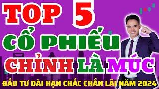 Top 5 cổ phiếu chỉnh là mua năm 2024 | Chứng khoán Hôm nay