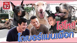 Abino Doberman โดเบอร์แมนเผือก - เพื่อนรักสัตว์เอ้ย EP.92 [2/2]