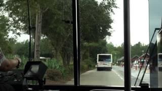 Bus Ride from Disney's Wilderness Lodge to Animal Kingdom - Walt Disney World