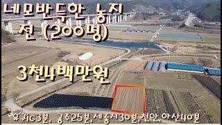 29번 충남 공주시 유구읍 신영리의 농지입니다전원주택매매 전원주택지매매 농가주택매매 시골집매매 토지매매 싼땅전문저렴한토지매매 급매물전문 공주대우부동산 귀농귀촌/공주부동산 유구부동산