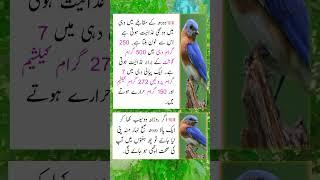 hakeem luqman quotes #totkay #nuskhe #tips #health #ytshorts #shortsvideo #viralvideo