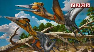 New Species of Azhdarchid Discovered in Japan | 7 Days of Science