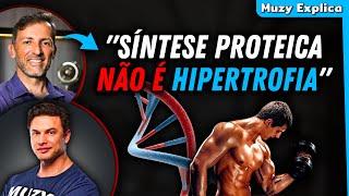 O QUE É SÍNTESE PROTEICA? | Muzy Explica