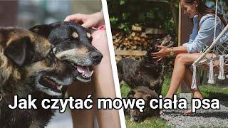 Mowa ciała psaJak ją czytać i zrozumieć