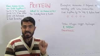 L-13 White board Protein, Amino acids Peptide Bond, Importance of Protein