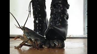 N72 Bug Crush Teaser -  Black boots and Lobster