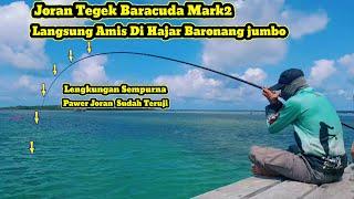 Review Dan Tes Joran Tegek Baracuda Aquarius Mark2 ! Gila Langsung Di Hajar ikan Baronang Besar