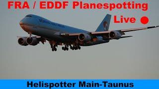 FRA LIVE  Planespotting