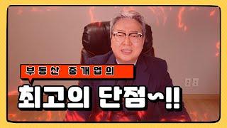 부동산중개업에 최고의 단점은 저는 이거라고 생각을 합니다.(feat.개업공인중개사 소속공인중개사)