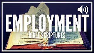 Bible Verses About Employment | Powerful Scriptures About Being Employed (ANOINTED)