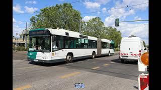 Potsdam (Bus; ViP Verkehrsbetrieb Potsdam) (20200602) (Slide show)