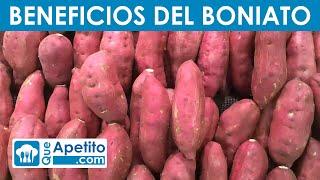 8 Propiedades y Beneficios del Boniato | QueApetito