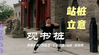 观书桩 站桩功法要略说 记录身边的传统武术文化 观书桩 美丽乡村刘家堡王琼故里