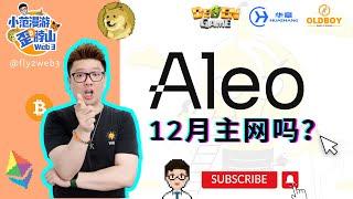 Aleo 会在12月主网上线吗？#Aleo #零知识证明  #隐私计算#Aleo #零知识证明  #隐私计算