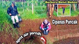 mancing belut babon sawah di cipanas cianjur