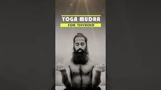 Yoga Mudra For Thyroid || By Himalayan Siddhaa Akshar #shorts