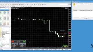 runwiseFX Intelligent Binary Options EA for MetaTrader