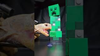 Minecraft ASMR Mukbang Eating Creeper  Turtle Tortoise