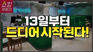 13일부터 시작되는 대변화 + 무주택자의 위험한 선택