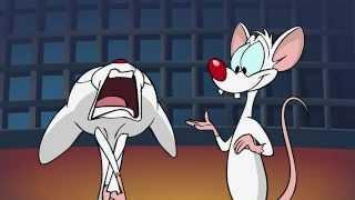 Pinky and the Brain Swearing