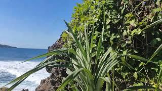 Cabongaoan Beach Burgos Pangasinan