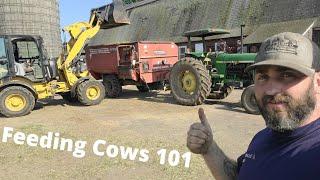 Remembering How To Feed Dairy Cows- A Morning In The Life Of A Dairy Farmer