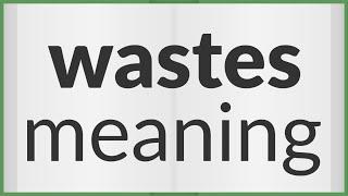 Wastes | meaning of Wastes