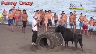 Funny video Buffalo Fighting Festival   Best Funny videos try not to laugh CRAZY Buffalo Fails #4 2