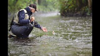 Top Fly Fishing Rivers in Washington State