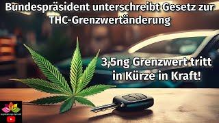 Bundespräsident Steinmeier unterschreibt Gesetz zur Anpassung des THC Grenzwerts im Straßenverkehr