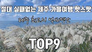 [제주여행]절대 실패없는 제주 가을여행 핫스팟제주 최고의 억새명소 TOP9|제주여행|제주억새명소|제주가을여행|제주에서꼭가봐야할곳|가을감성|제주오름|가을여행핫스팟|TOP9